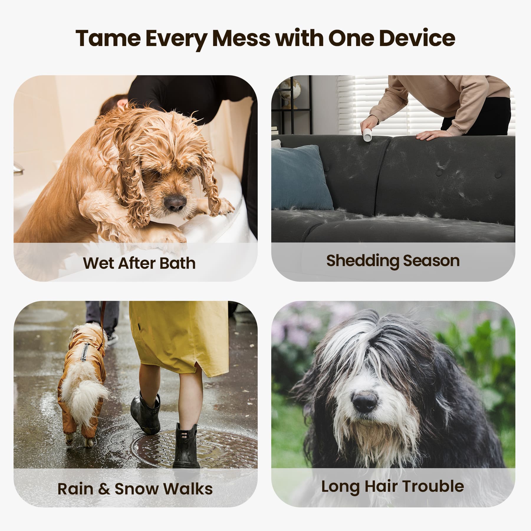 Oneisall Cozy C1 8-in-1 Pet Grooming Vacuum & Dryer Kit - Image 13