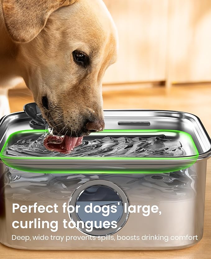 Oneisall 10L Pet Water Fountain for Large Dogs - Image 4