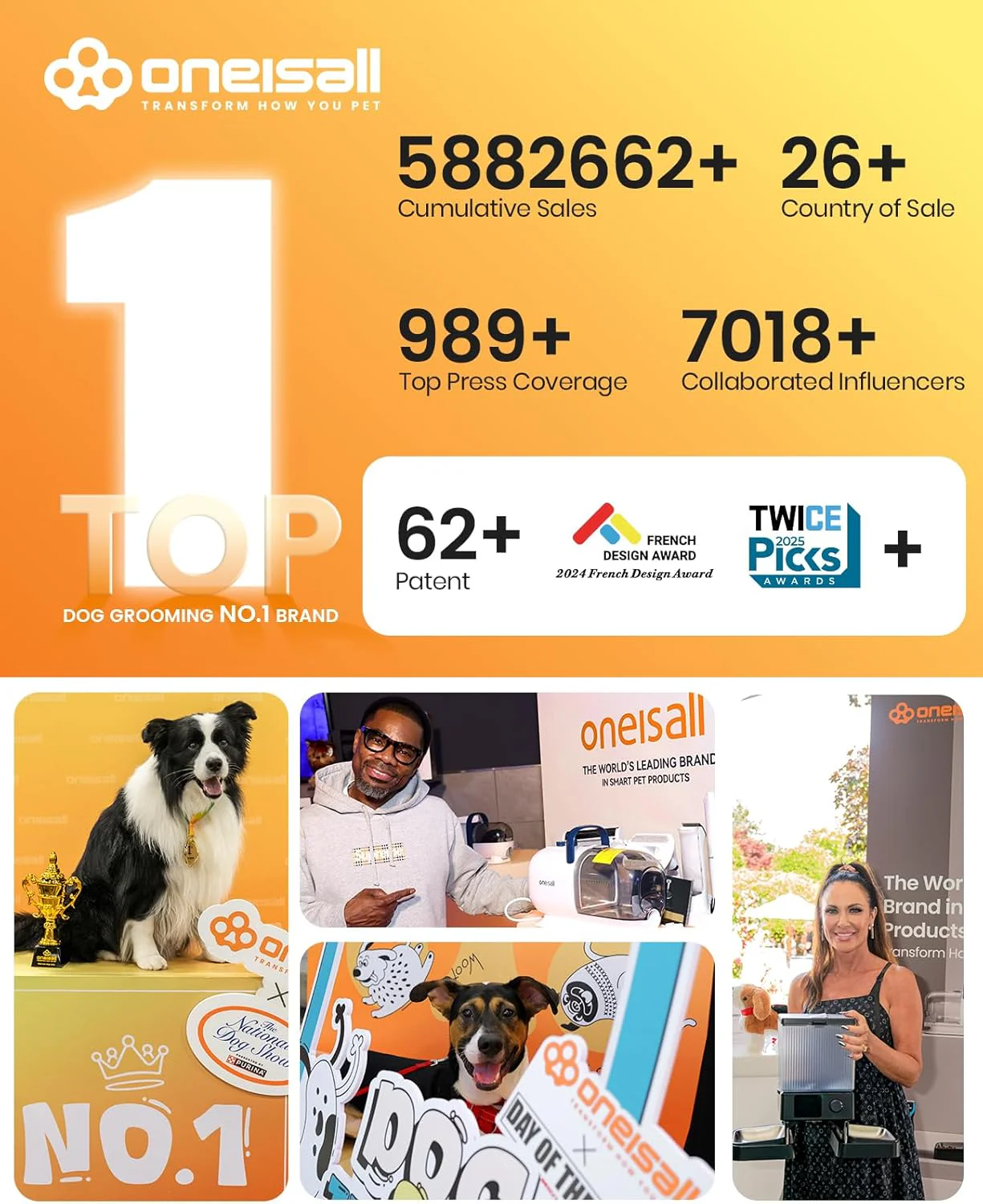 Oneisall 10L Pet Water Fountain for Large Dogs - Image 9