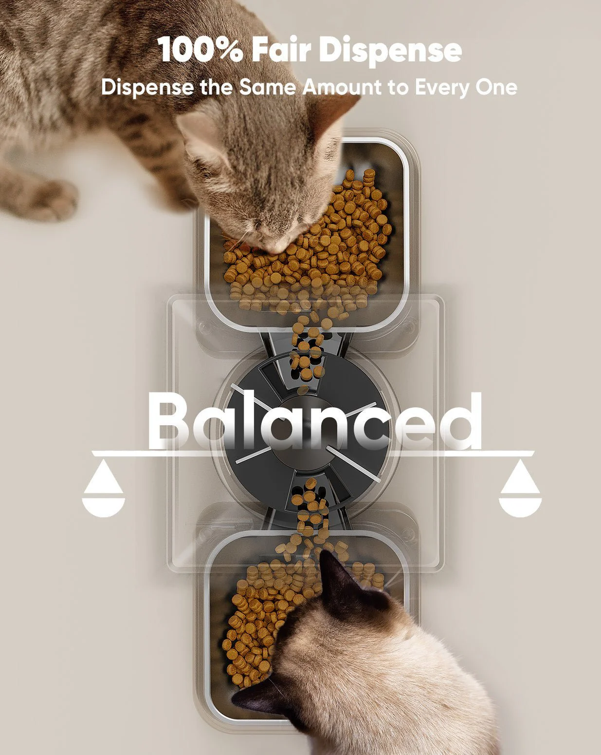 Oneisall 5L Automatic Cat Feeder for Two Cats-Black - Image 4